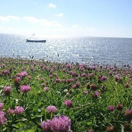 Buise Apartman Petersdorf auf Fehmarn